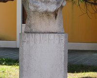 Clicca per ingrandire